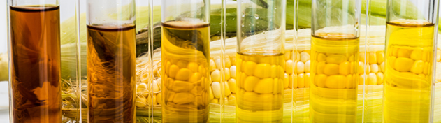 Renewable Fuels