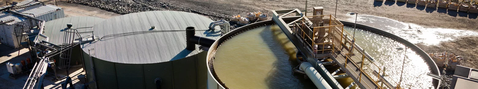 Metal Extraction